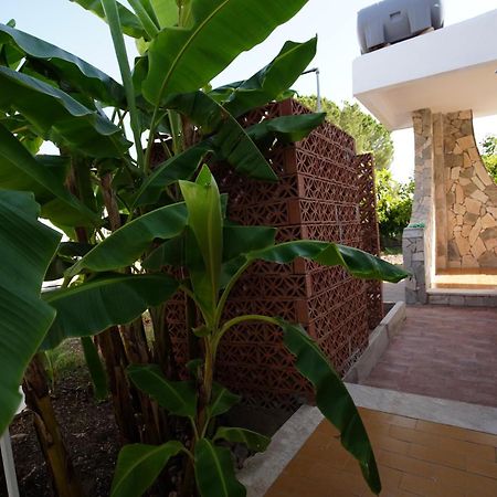 Villetta Mare "Gelsomino Bianco" Fontane Bianche Exterior photo